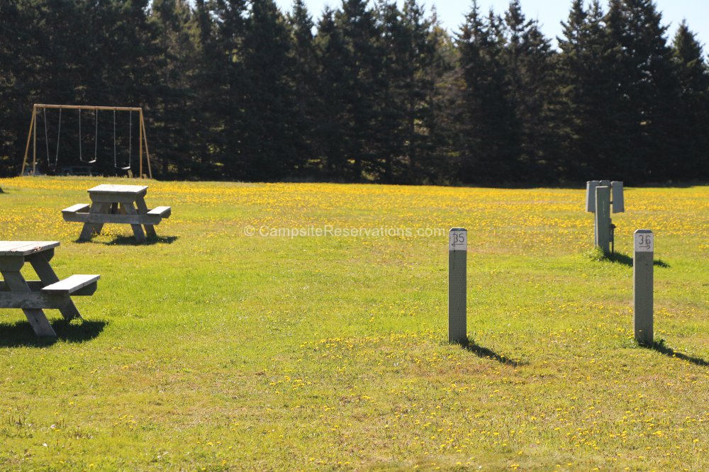 Campsite 35 in Panmure Island Provincial Park Campground at Panmure